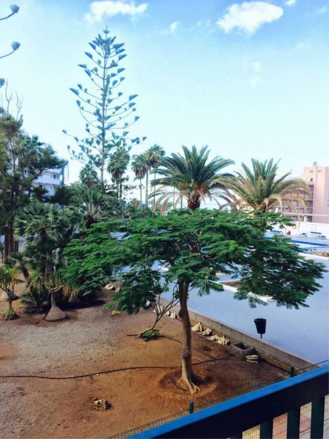 Enjoy The Sea And Pool In Playa De Las Americas 외부 사진